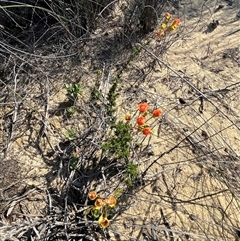 Unverified at suppressed - suppressed