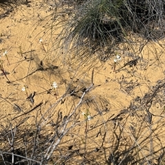 Unverified at suppressed - suppressed