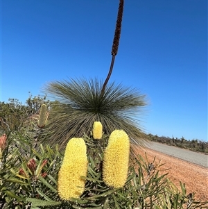 Unidentified at suppressed - 26 Sep 2024