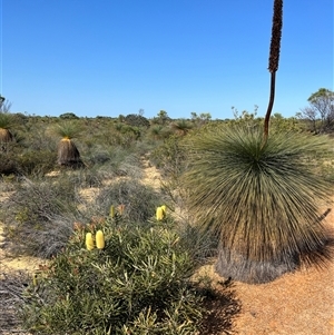 Unidentified at suppressed - 26 Sep 2024