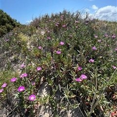 Unverified at suppressed - suppressed