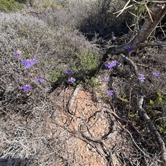 Unidentified at suppressed - 21 Sep 2024