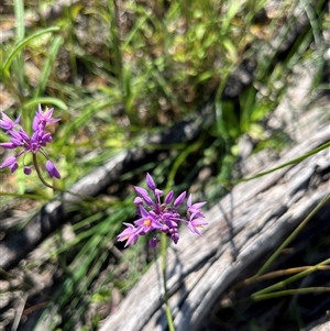 Unidentified at suppressed - 13 Sep 2024