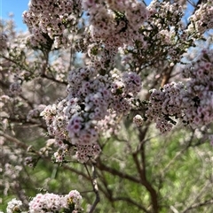 Unverified at suppressed - suppressed