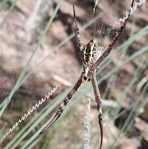 Unidentified at suppressed - 18 Dec 2024