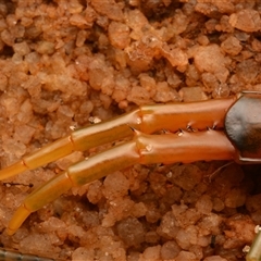 Unverified at suppressed - suppressed