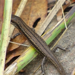 Unverified at suppressed - suppressed