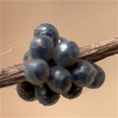 Unverified at suppressed - suppressed