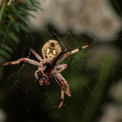 Unidentified at suppressed - 20 Dec 2024