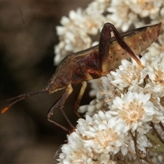 Unidentified at suppressed - 20 Dec 2024