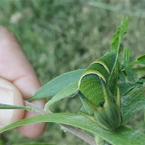 Unidentified at suppressed - 22 Dec 2024