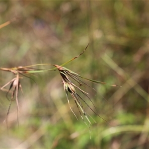 Unidentified at suppressed - 21 Dec 2024