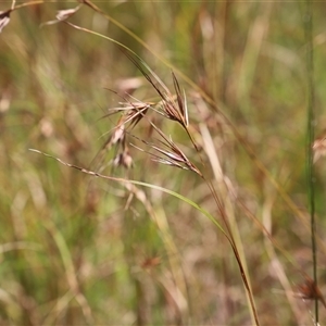 Unidentified at suppressed - 21 Dec 2024