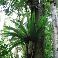 Unverified at suppressed - suppressed