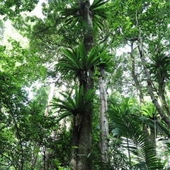 Unverified at suppressed - suppressed