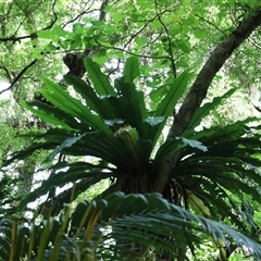 Unverified at suppressed - suppressed