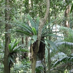 Unverified at suppressed - suppressed