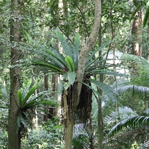 Unverified at suppressed - suppressed