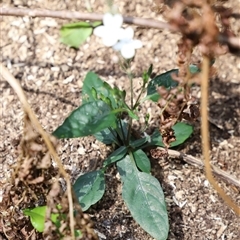 Unverified at suppressed - suppressed