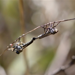 Unidentified at suppressed - 20 Dec 2024