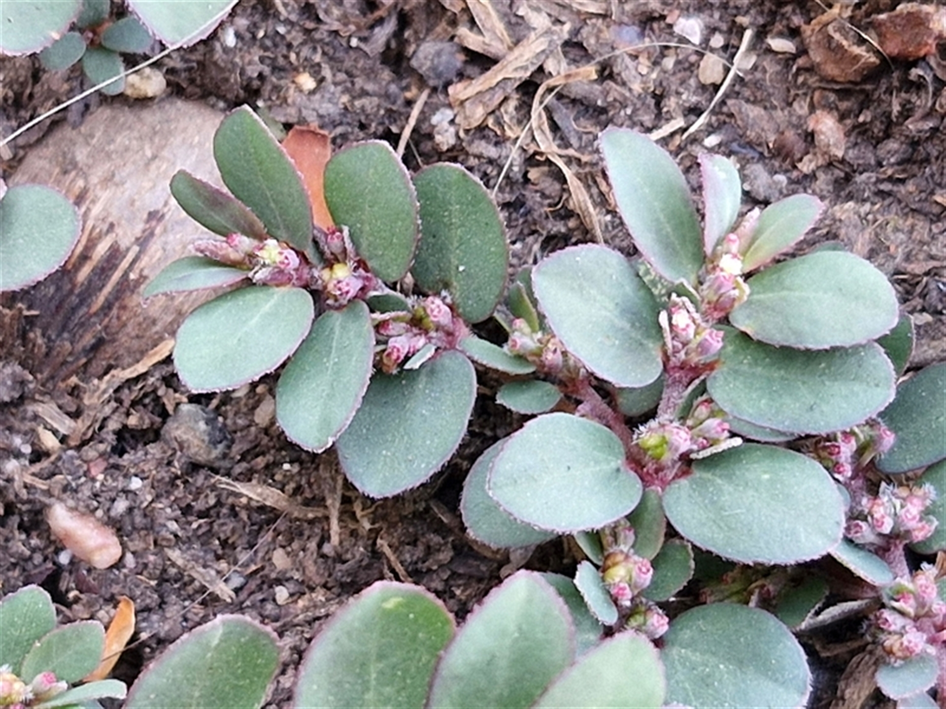 Unverified at suppressed - suppressed