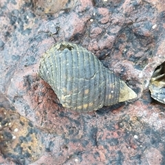 Unverified at suppressed - suppressed