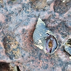 Unverified at suppressed - suppressed