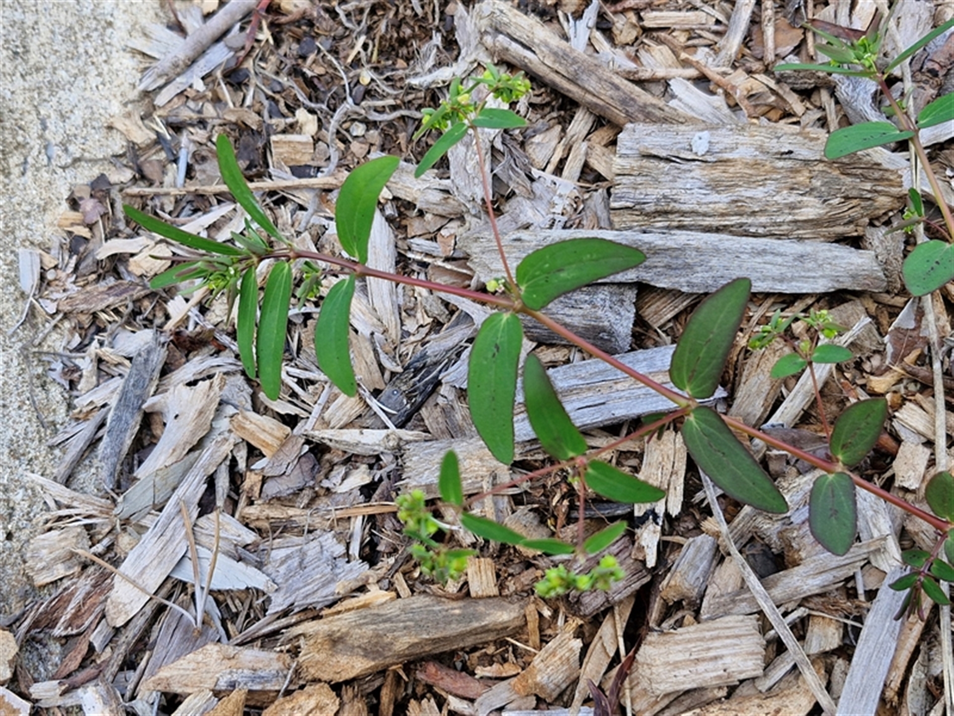 Unverified at suppressed - suppressed