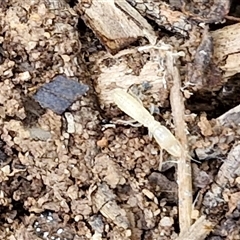 Unverified at suppressed - suppressed