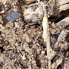 Unverified at suppressed - suppressed