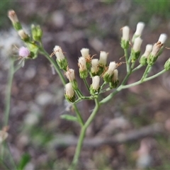 Unverified at suppressed - suppressed