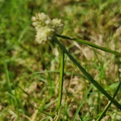 Unverified at suppressed - suppressed