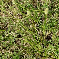 Unverified at suppressed - suppressed