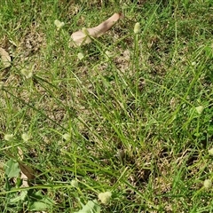 Unverified at suppressed - suppressed