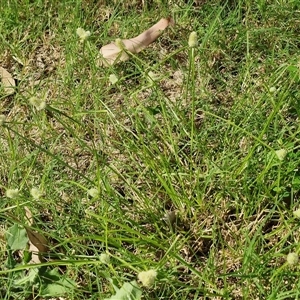 Unverified at suppressed - suppressed