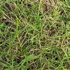 Unverified at suppressed - suppressed