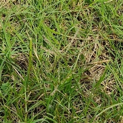 Unverified at suppressed - suppressed