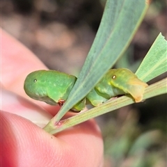 Unidentified at suppressed - 23 Dec 2024