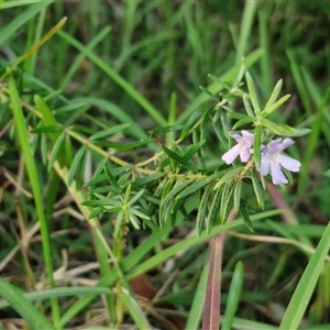 Unidentified at suppressed - 25 Dec 2024