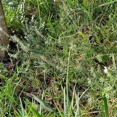 Unverified at suppressed - suppressed