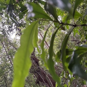 Unverified at suppressed - suppressed