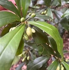 Unverified at suppressed - suppressed