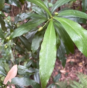 Unverified at suppressed - suppressed