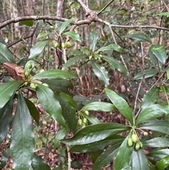 Unverified at suppressed - suppressed