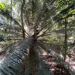 Unverified at suppressed - suppressed