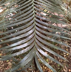 Unverified at suppressed - suppressed