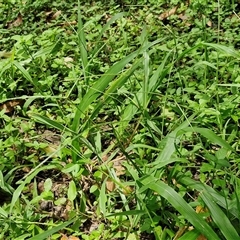 Unverified at suppressed - suppressed