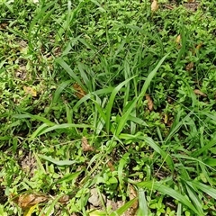 Unverified at suppressed - suppressed