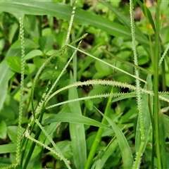 Unverified at suppressed - suppressed