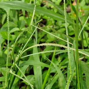 Unverified at suppressed - suppressed